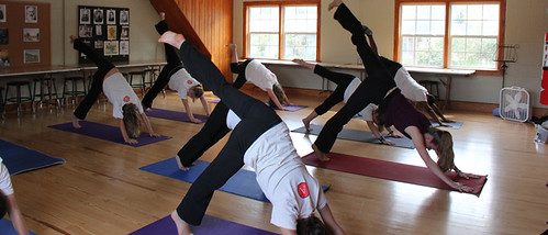 Class practicing a downward-dog to plank flow on mats